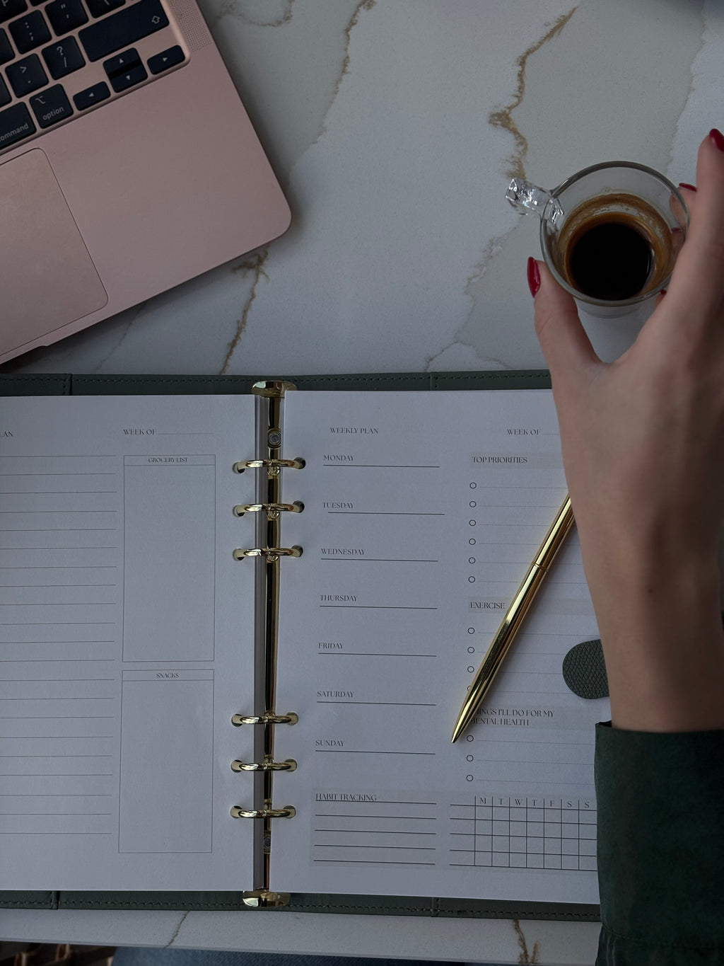 Aleda Undated Daily Planner