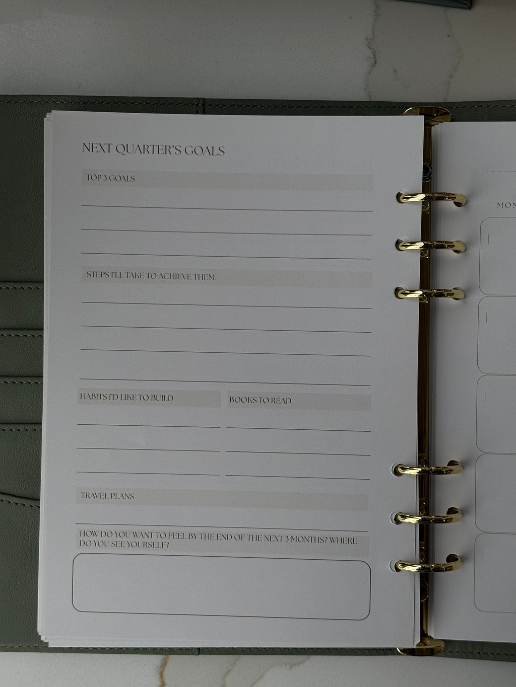 Aleda Undated Daily Planner
