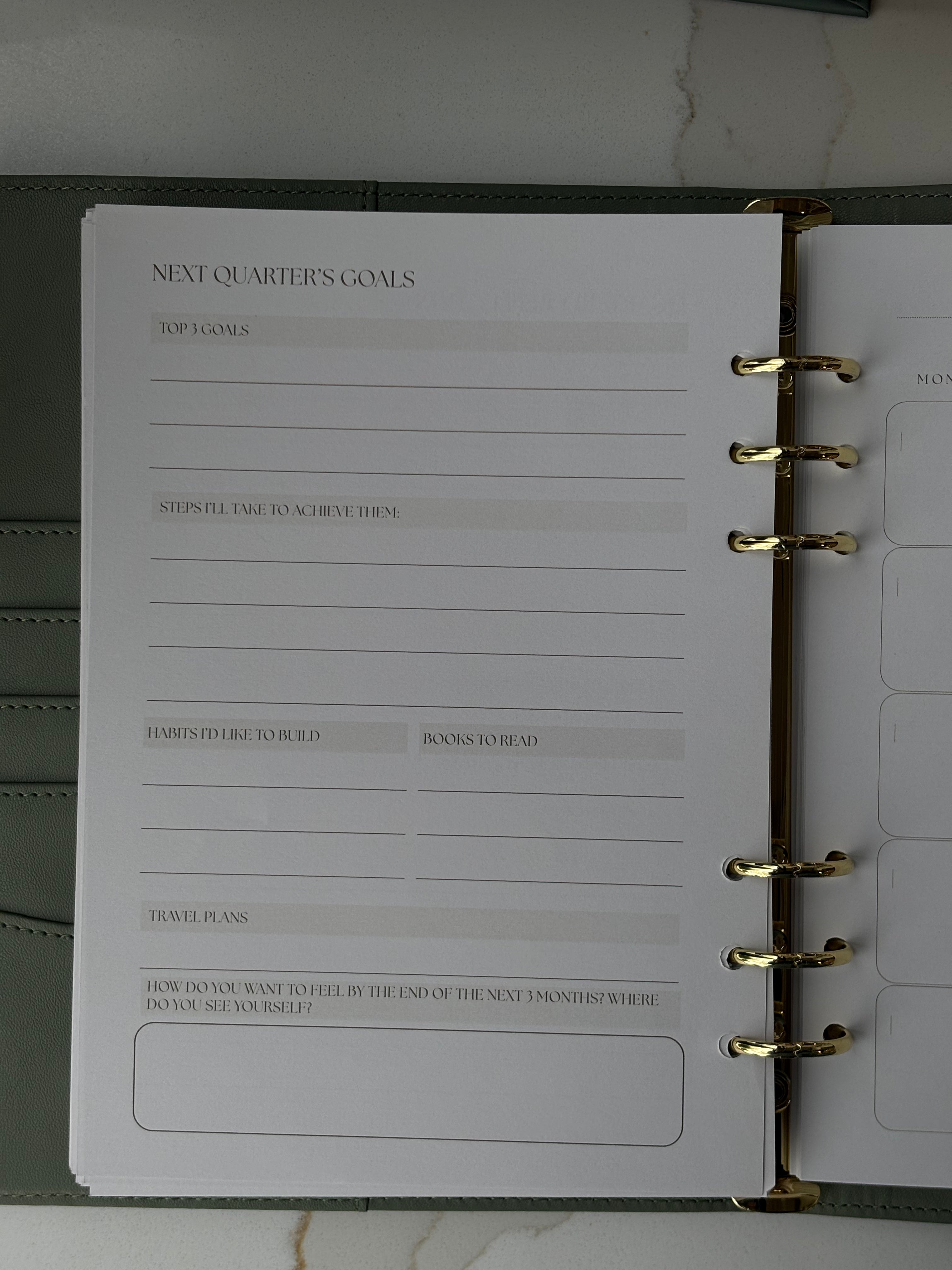 Aleda Undated Daily Planner